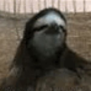 Meet your Posher, Chana